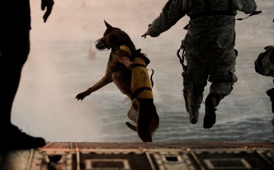 Soldier and dog jumping from plane