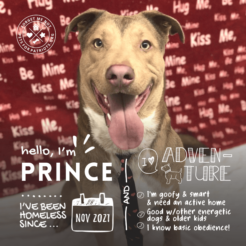 Hello! I am Prince.