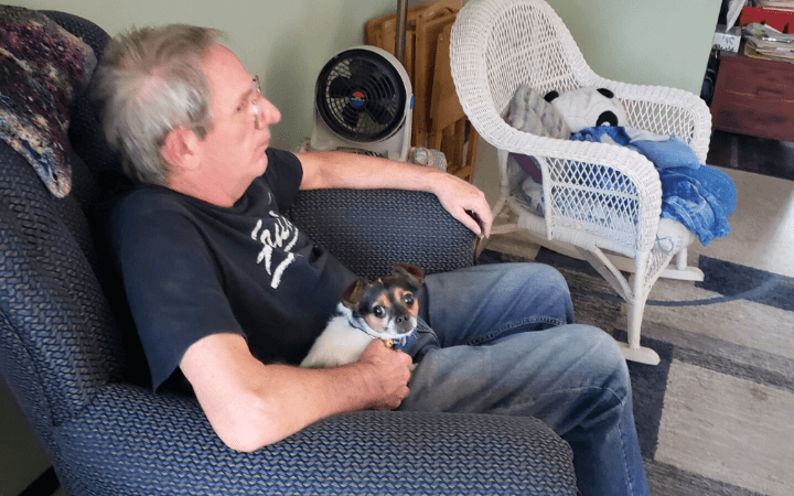 Pint sized rescue dog's love fills Air Force veterans' empty nest