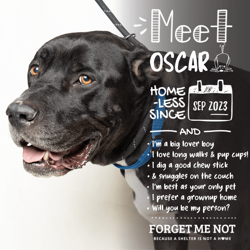 Oscar