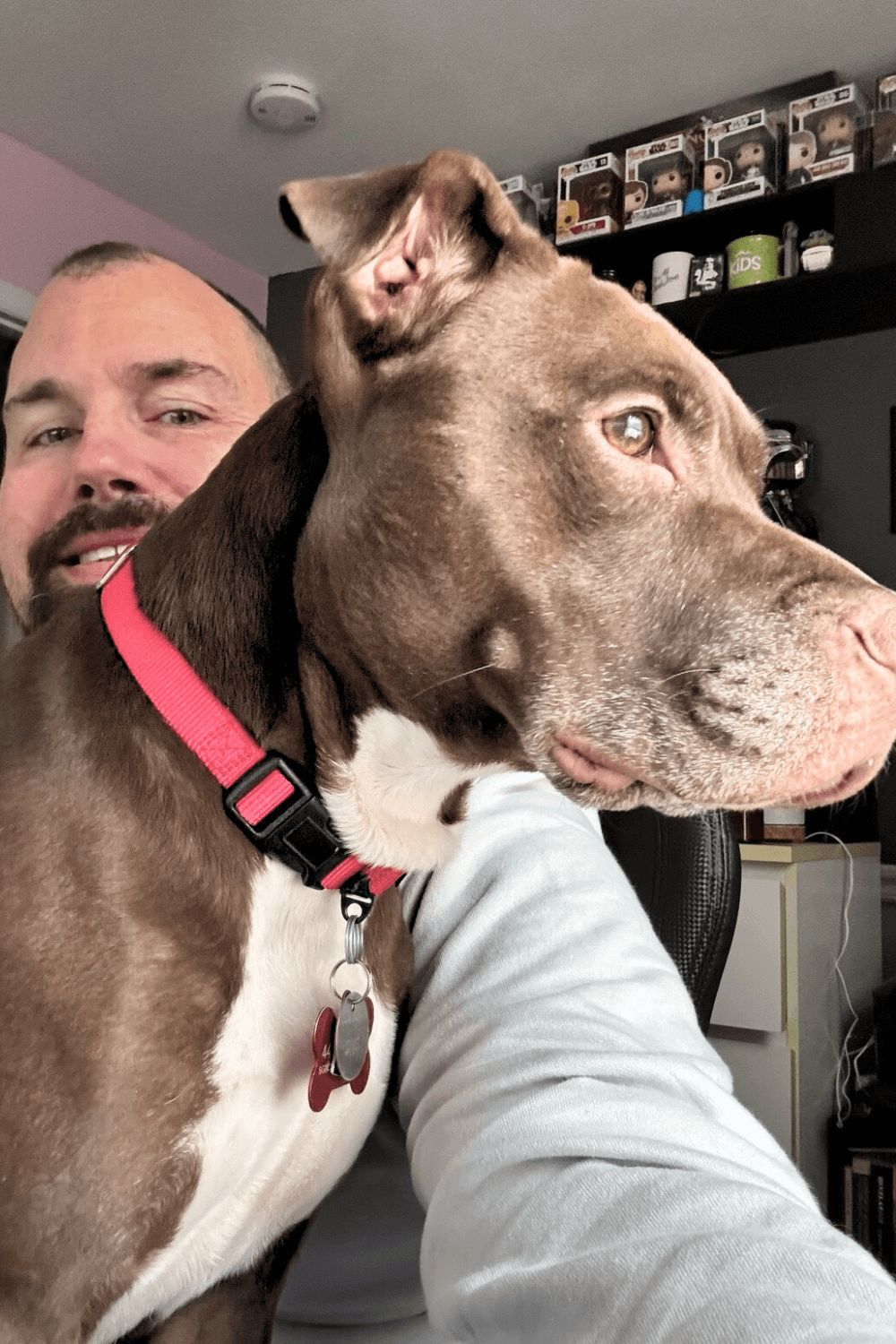 Pit Bull helps Army war veteran know that he is not alone