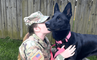 Canine companion sees Army veteran through major life changes