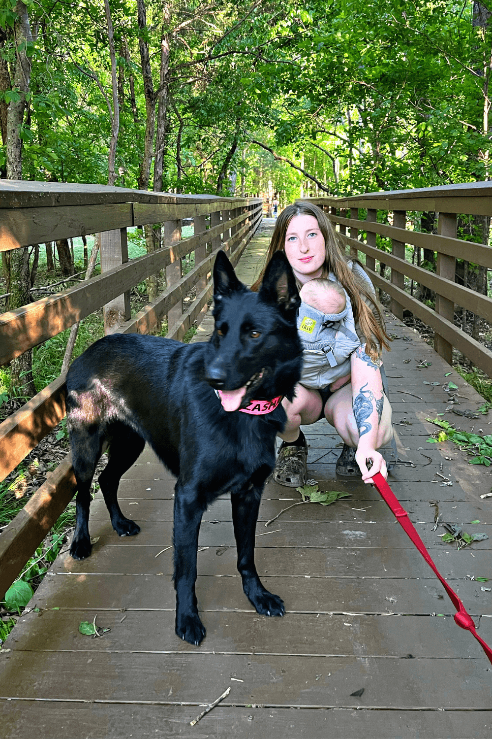 Canine companion sees Army veteran through major life changes