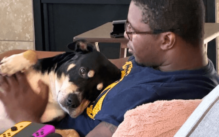 A Marine’s commitment extends to rescue dog with unsettling past