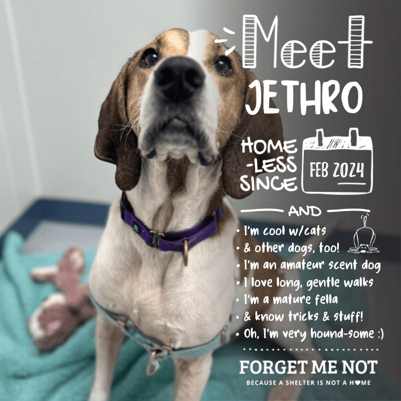 Jethro