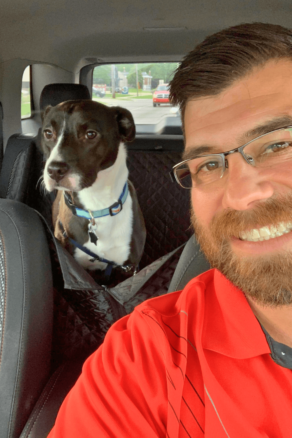 Spirited rescue dog helps Marine war veteran conquer post-service loneliness