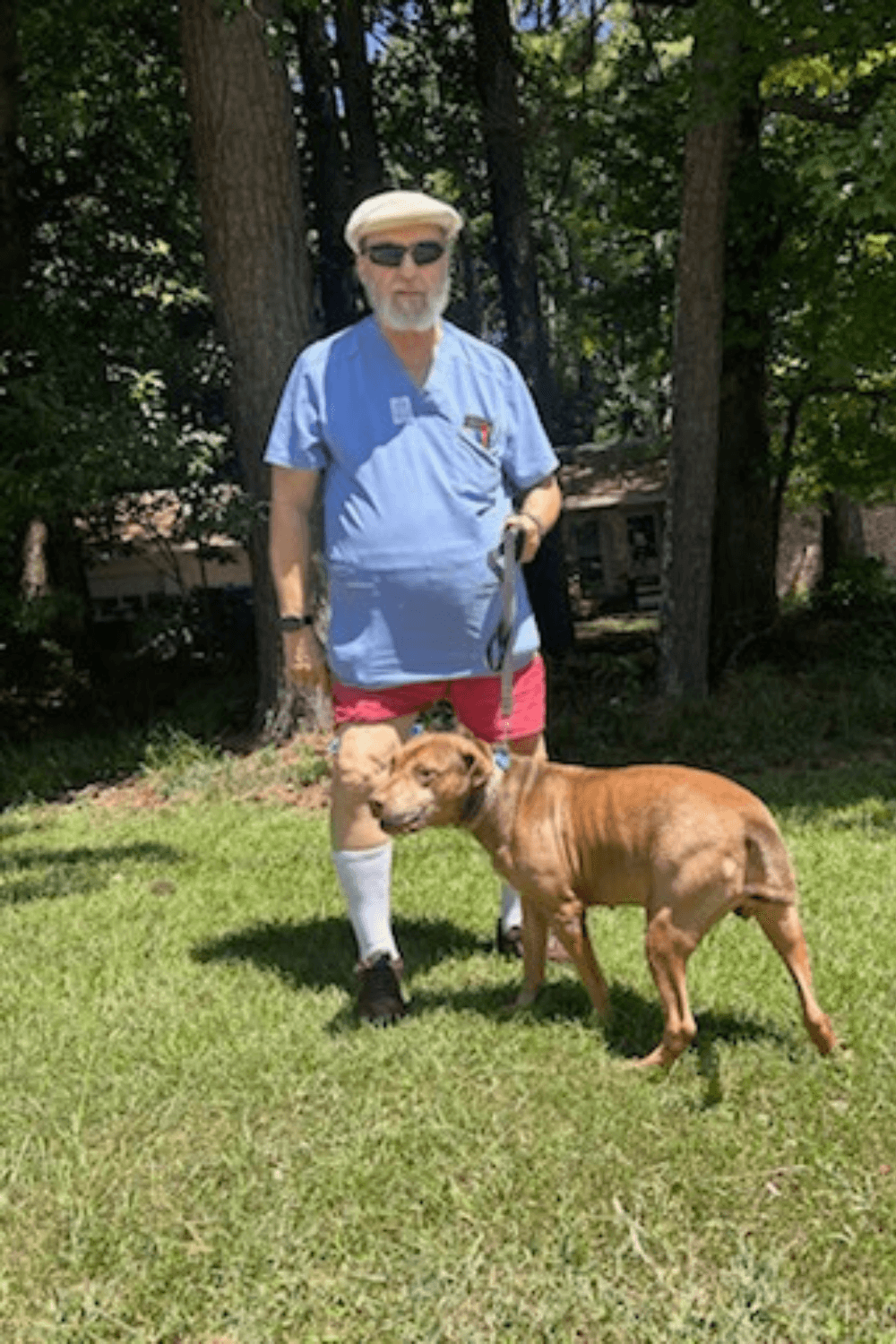 Navy veteran and lifetime nurse gives hope to traumatized rescue dog