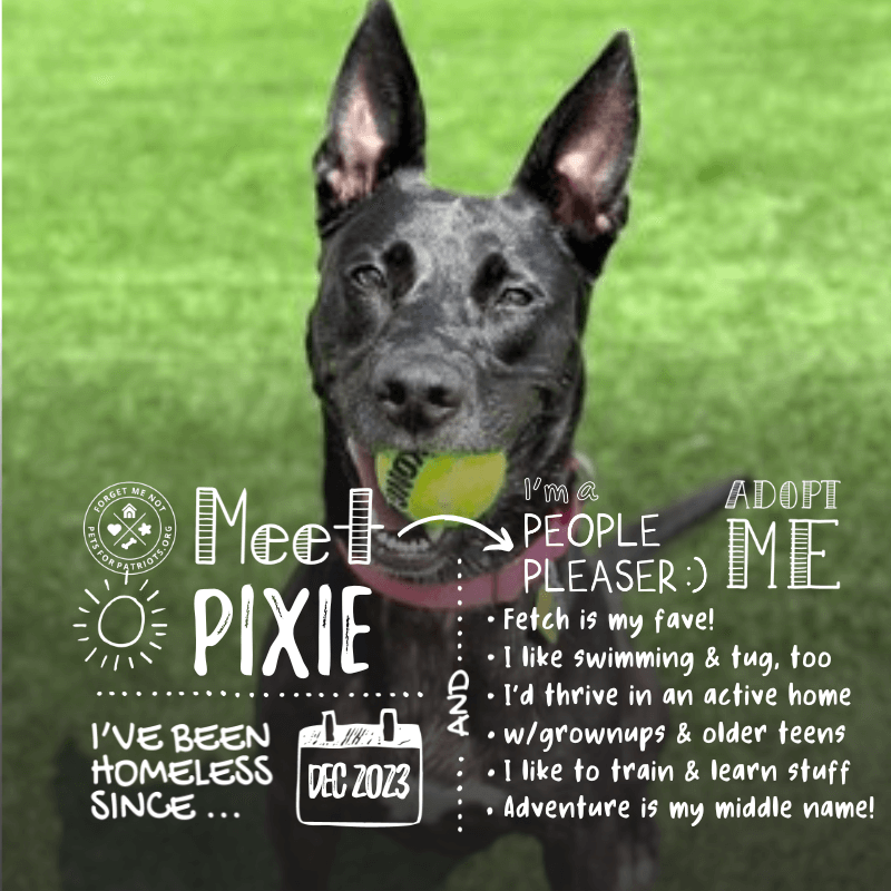 Pixie