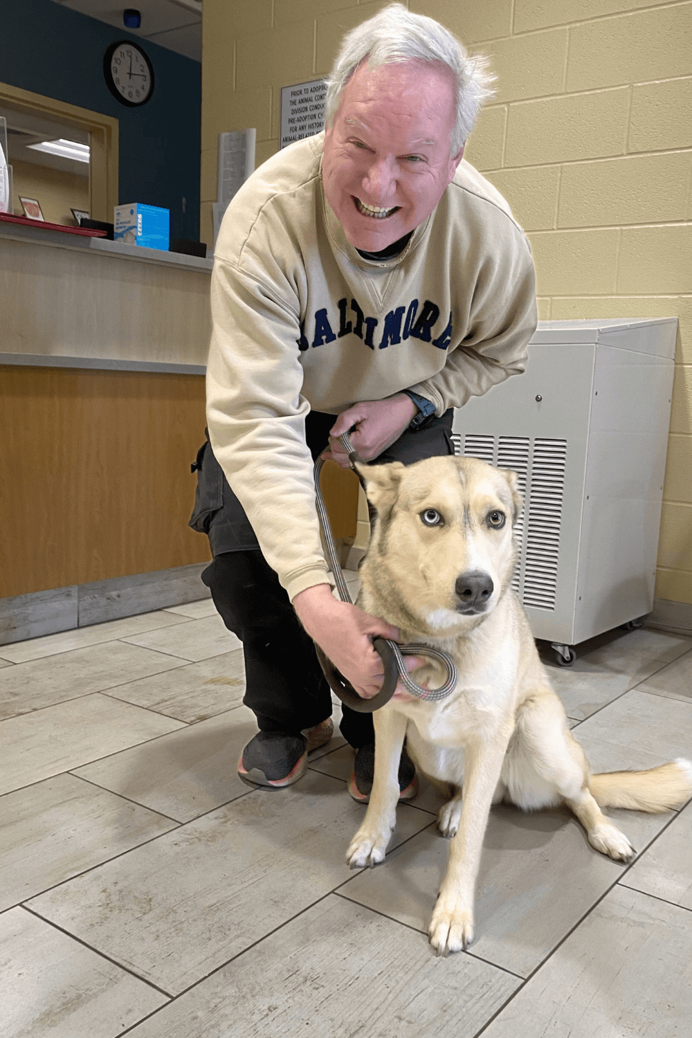 Army veteran gives rescue dogs the freedom they deserve