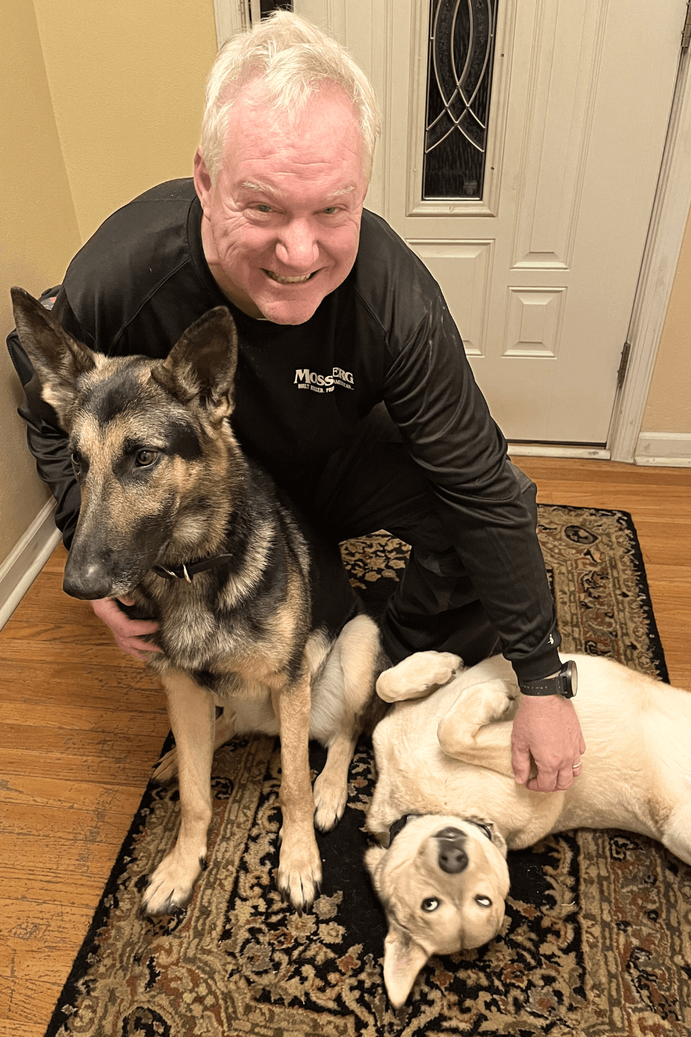 Army veteran gives rescue dogs the freedom they deserve