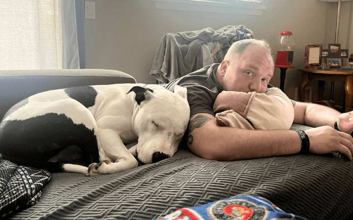 Marine veteran finds renewed purpose with dashing shelter dog