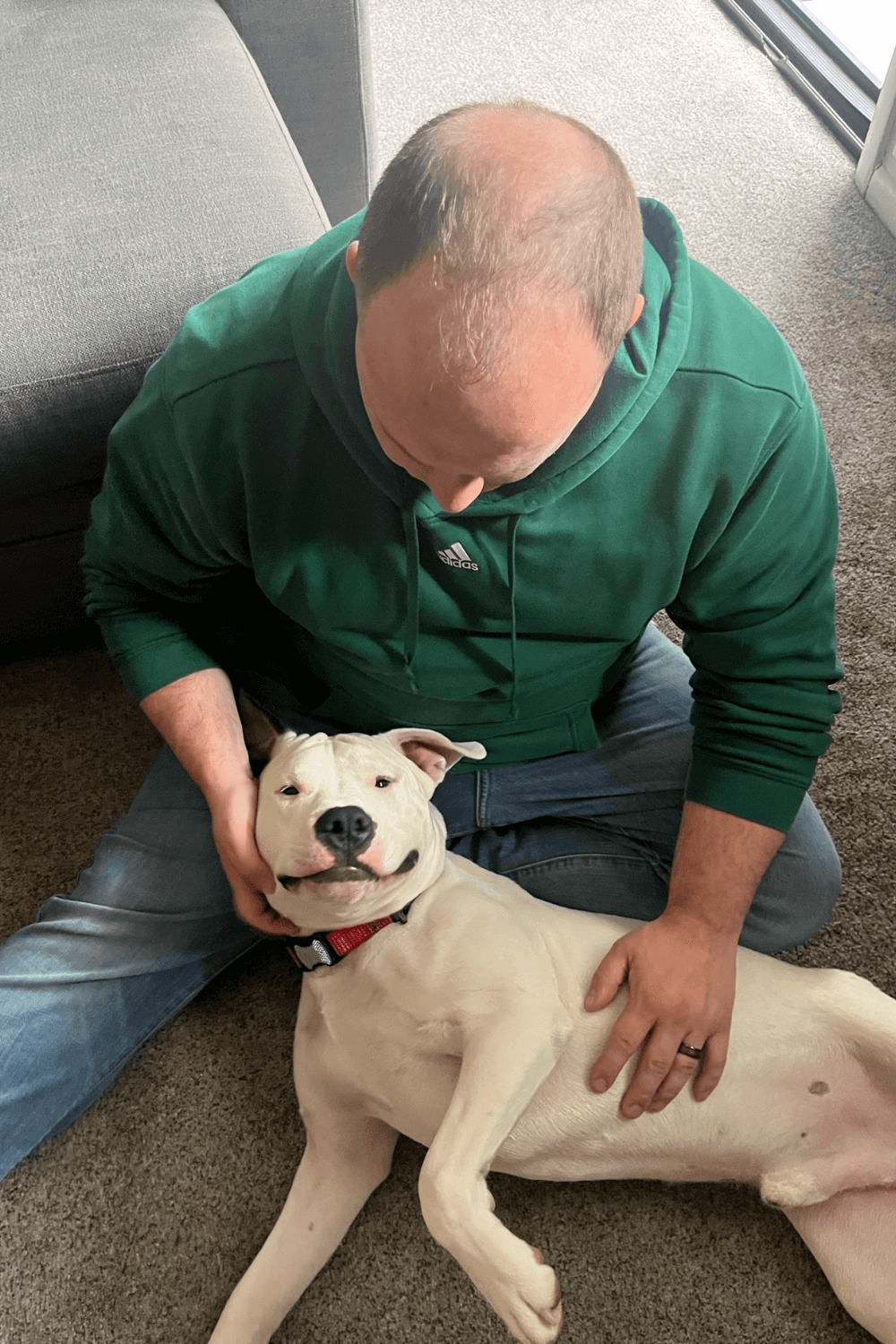 Marine Corps finds renewed purpose with dashing shelter dog