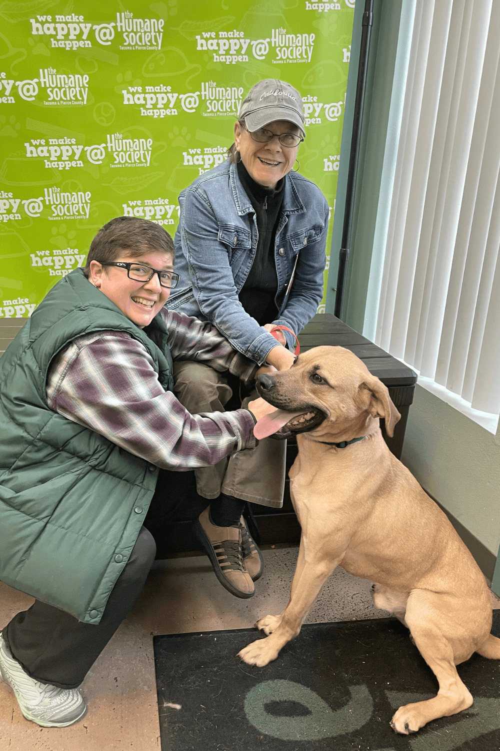 Tough love helps energetic shelter dog adjust to new home life